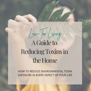 The complete low-tox living reset including digital guides and a curated detox box with magnesium flakes, goat milk soap, coconut oil and body brush.